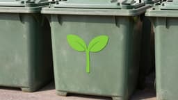 Stilisierte Darstellung des Keimling-Symbols für Kompostierbarkeit